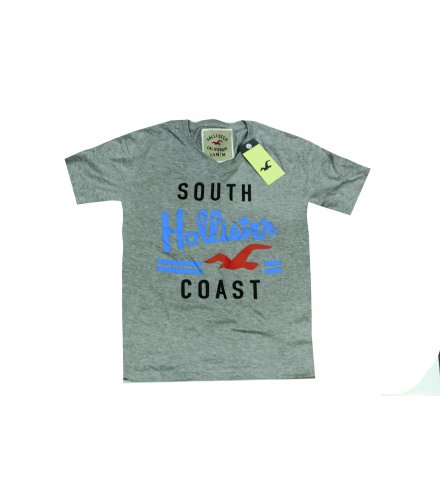 MC113 -Hollister coast gray T shirt (large L ) 